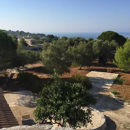 Feudo - Pajara Bracchio 2 By Salento Prime Salve