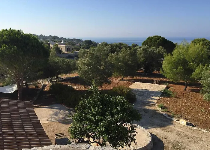 Feudo - Pajara Bracchio 2 By Salento Prime Salve